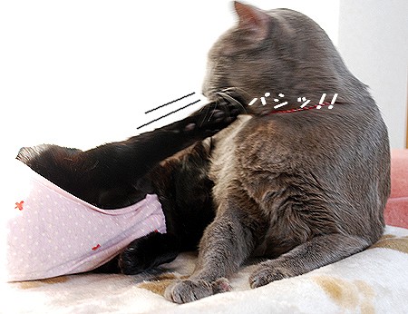 モモパンチ