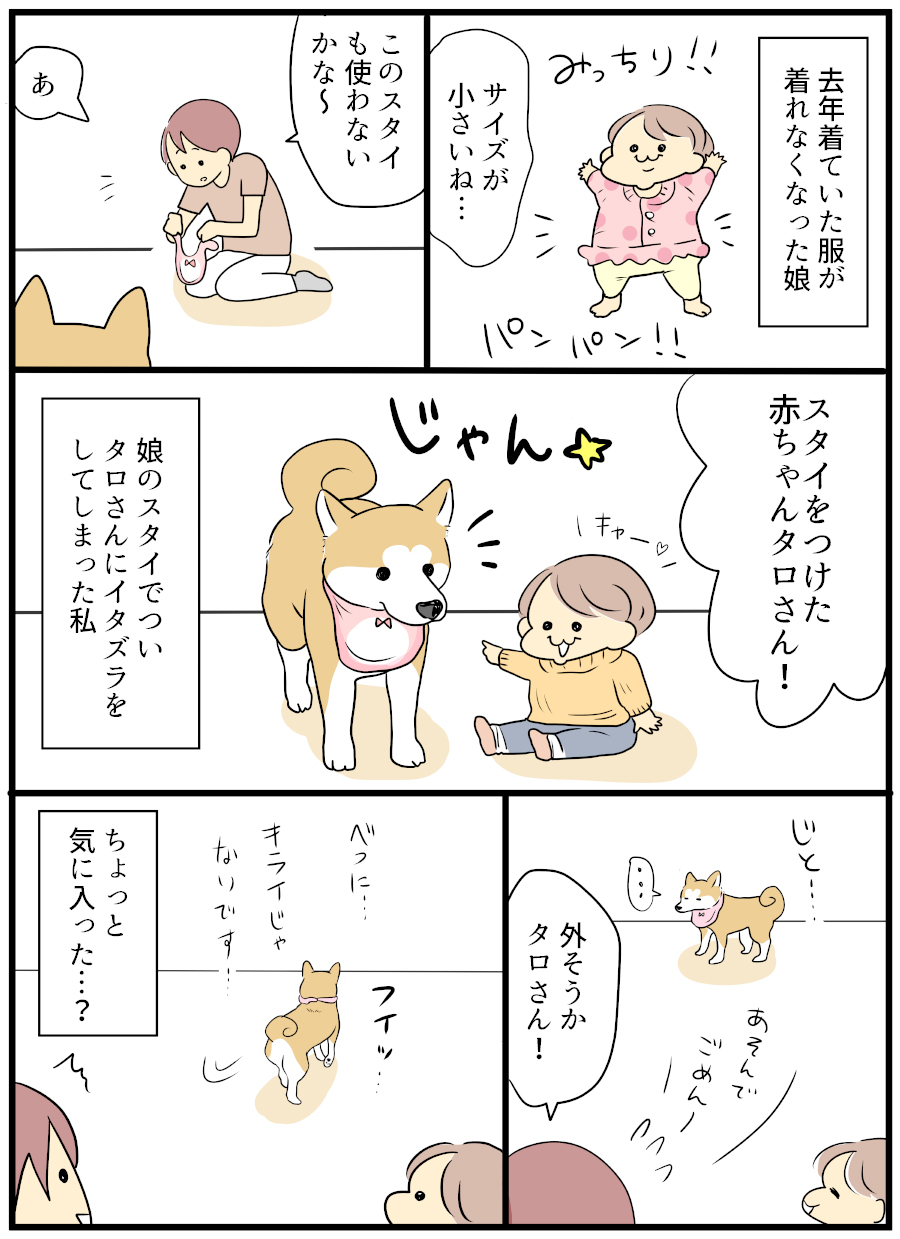 すたいあ