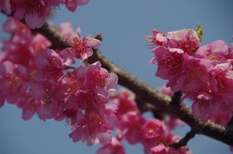 201032003