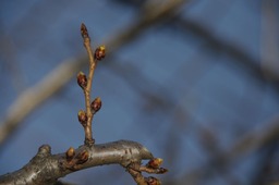 201032001