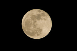 IMGP6206b