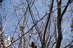 IMG120401