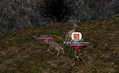 360ea8fe.jpg