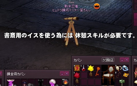 mabinogi_2014_10_19_017