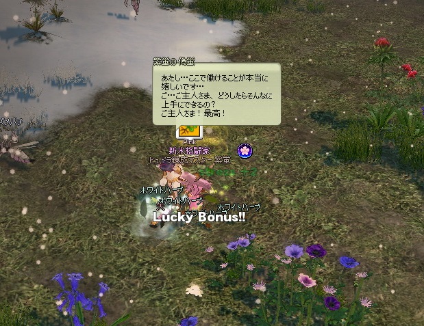 mabinogi_2016_03_29_008