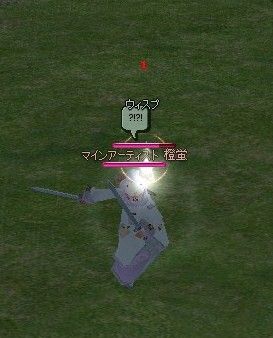 mabinogi_2010_08_20_001.jpg