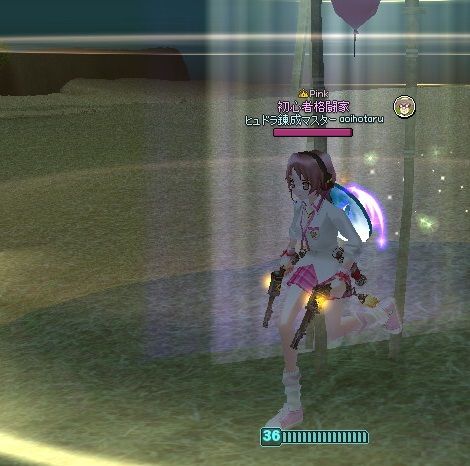 mabinogi_2014_03_15_024