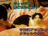 04b87e1b.jpg