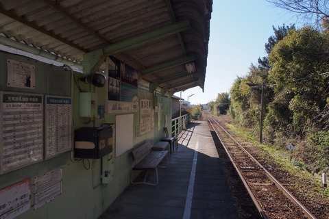 P1130059_a
