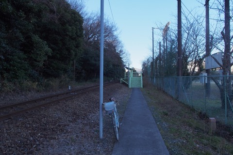 P1130008_4