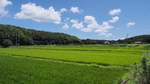 P7210007s_a