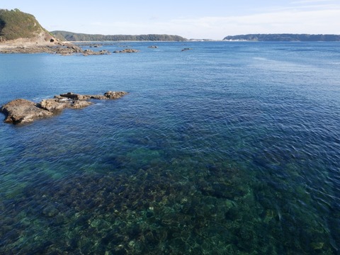 P1010617_a