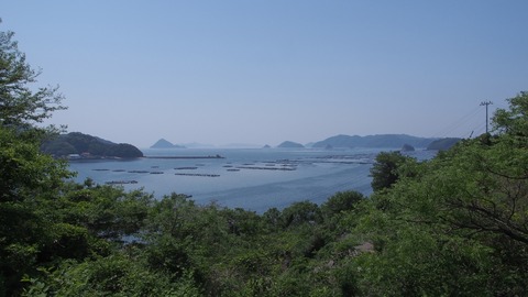 P4300833s_a