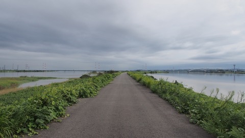 P9080038_a
