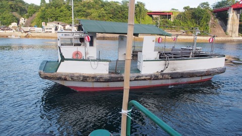 P5011228