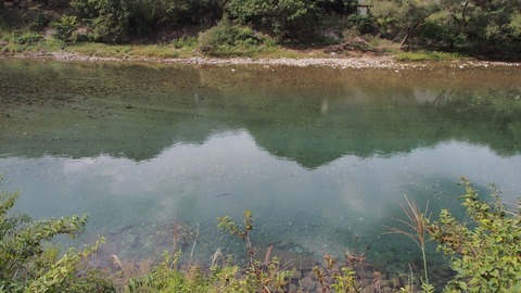 PA040041
