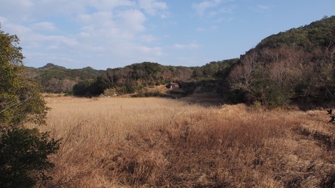 P1200020_a