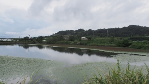 P9010004_a