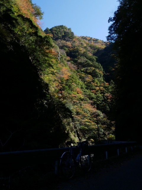 P1000634s_a