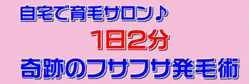 kisekinohatsumo