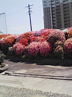 0b33a47f.jpg