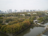 37f2b865.jpg