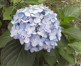 d14dbcb0.jpg