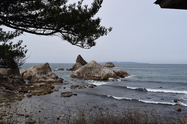 DSC_1395