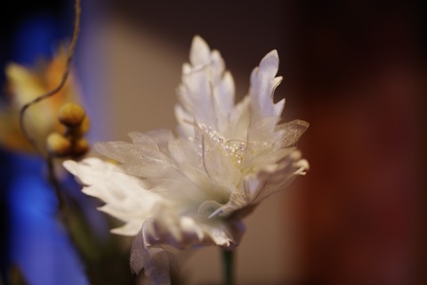 IMGP7814
