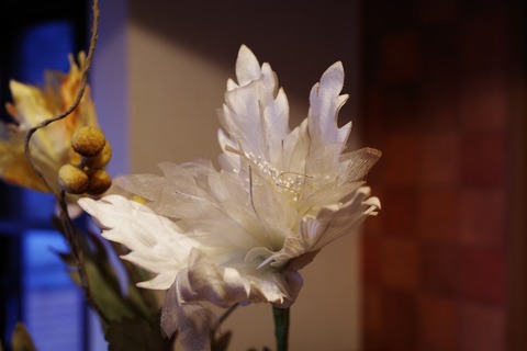 IMGP7819
