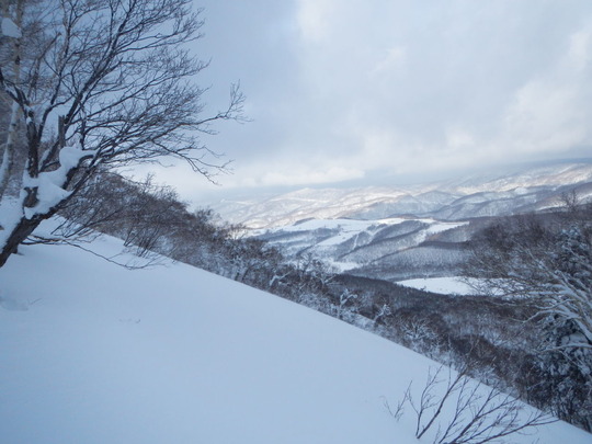 DSCN1414