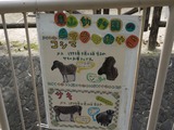 タテメオヤジの『めいびいとぅもろう』:１０・１６ <b>東山動物園</b>（５）