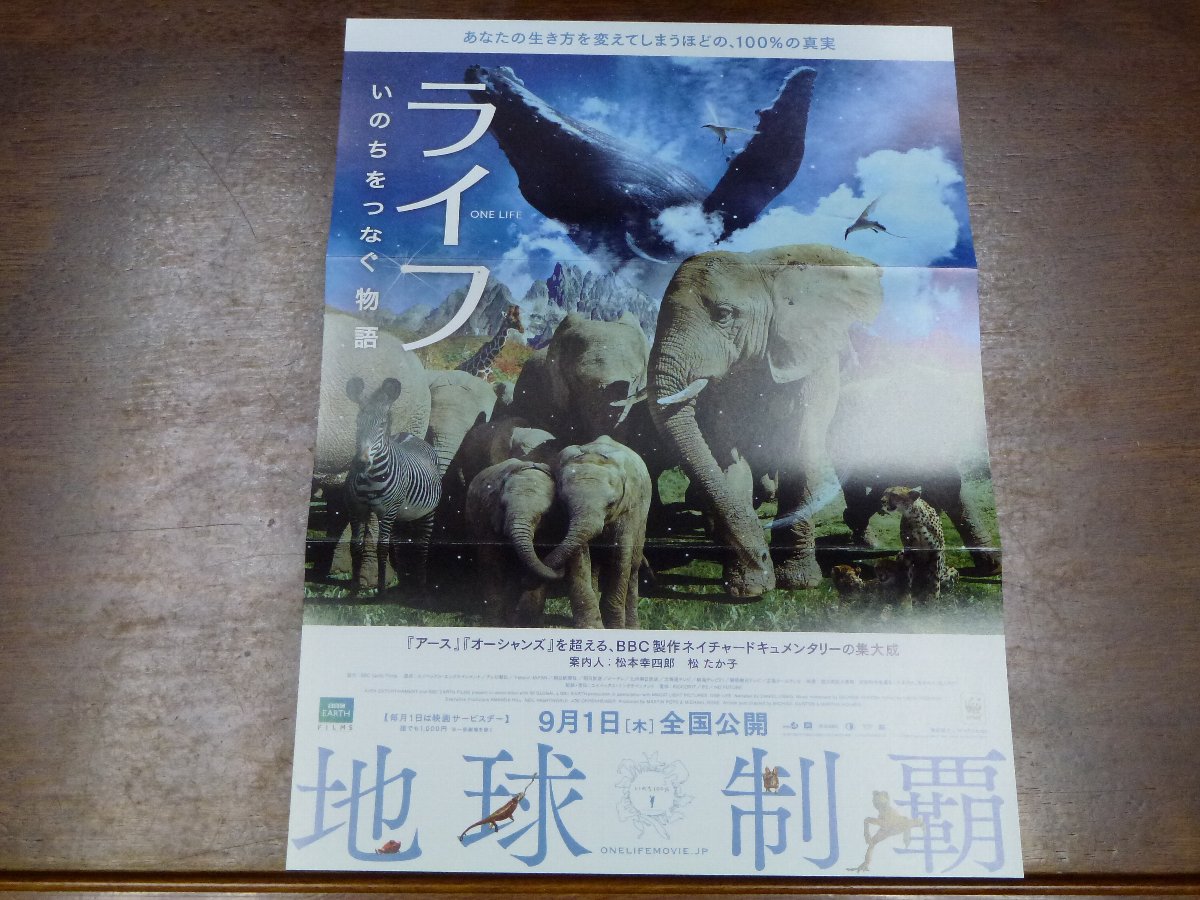 浜崎あゆみ/淫乱主婦 の掲示板投稿写真＆画像