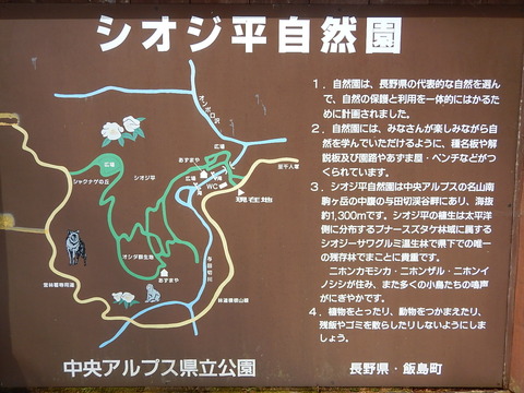 DSCN4930