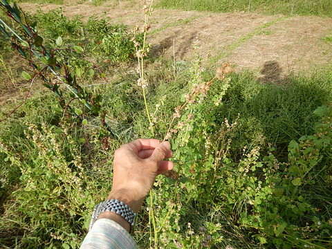 DSCN8259