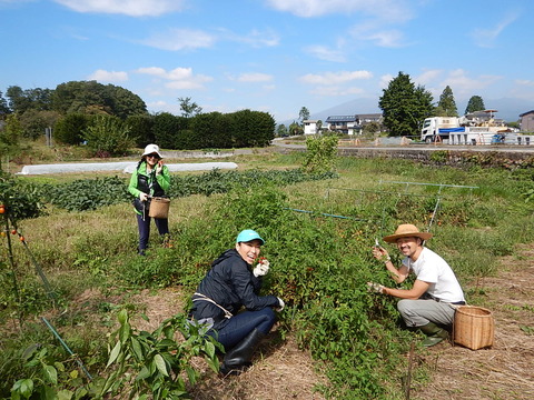 DSCN8548