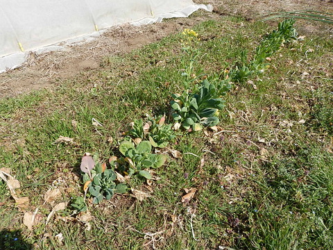 DSCN4837