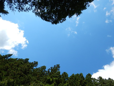 DSCN3460
