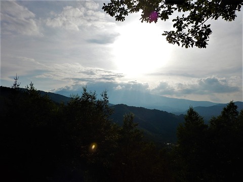 DSCN2986