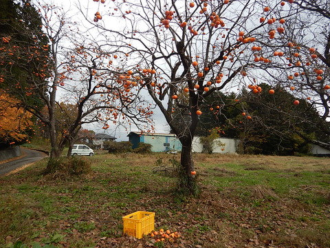DSCN0186