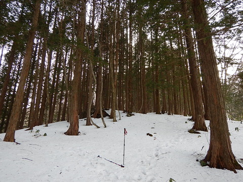 DSCN5222