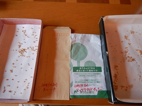 DSCN8626