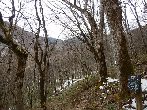 DSCN4983