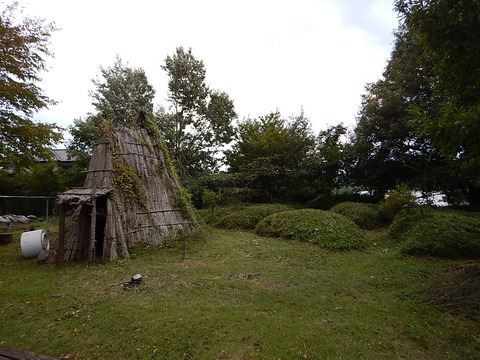 DSCN3336