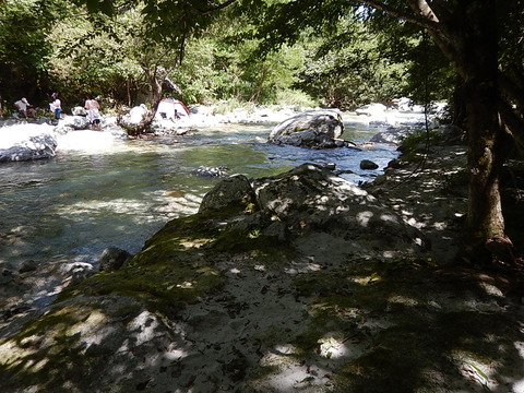 DSCN6760