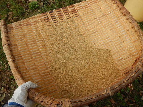 DSCN8633