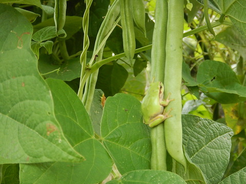 DSCN3326