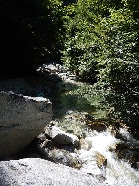 DSCN6789