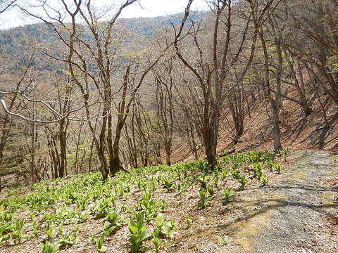 DSCN3835