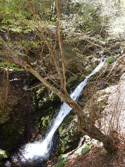 DSCN3753